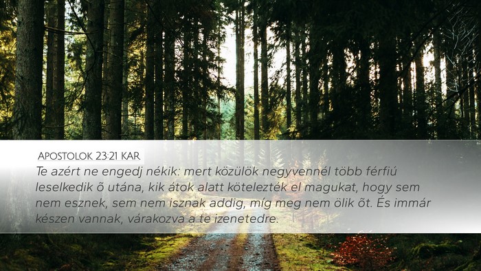 Apostolok 23:21 KAR Bible Verse Image