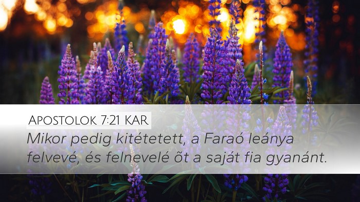 Apostolok 7:21 KAR Desktop Wallpaper - Mikor pedig kitétetett, a Faraó leánya - Desktop Bible Verse Wallpaper