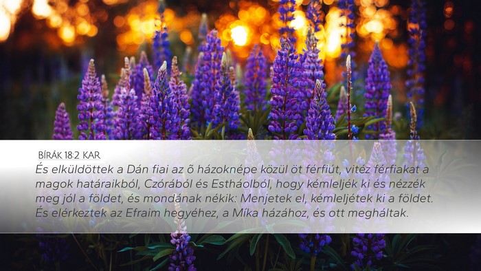 Bírák 18:2 KAR Bible Verse Image