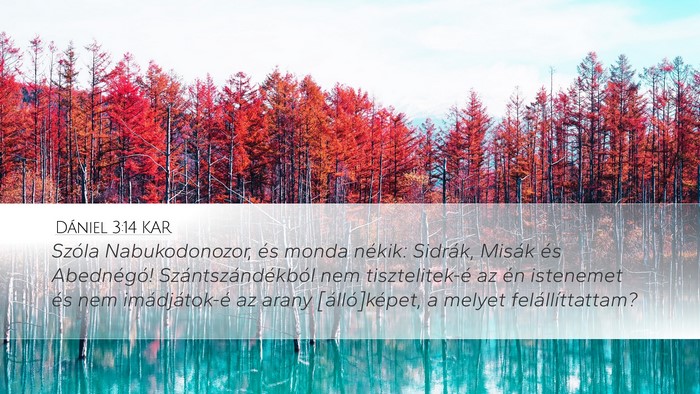 Dániel 3:14 KAR Desktop Wallpaper - Szóla Nabukodonozor, és monda nékik: Sidrák, - Desktop Bible Verse Wallpaper