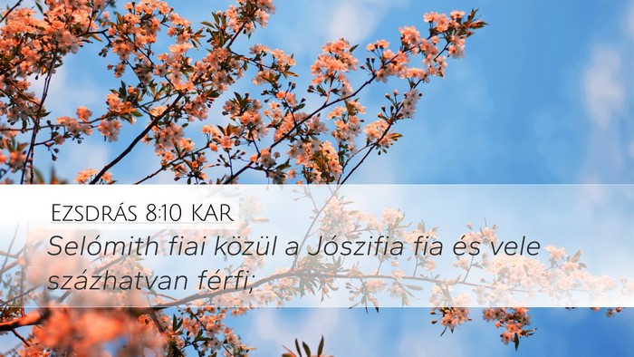 Ezsdrás 8:10 KAR Desktop Wallpaper - Selómith fiai közül a Jószifia fia és vele - Desktop Bible Verse Wallpaper