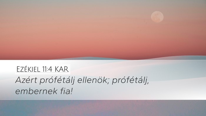 Ezékiel 11:4 KAR Desktop Wallpaper - Azért prófétálj ellenök; prófétálj, - Desktop Bible Verse Wallpaper