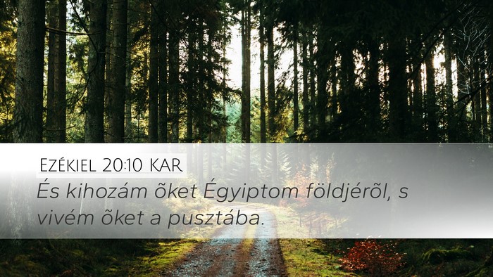 Ezékiel 20:10 KAR Bible Verse Image