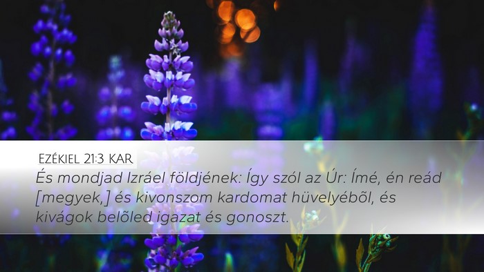 Ezékiel 21:3 KAR Bible Verse Image