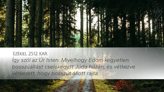 Ezékiel 25:12 KAR Bible Verse Image