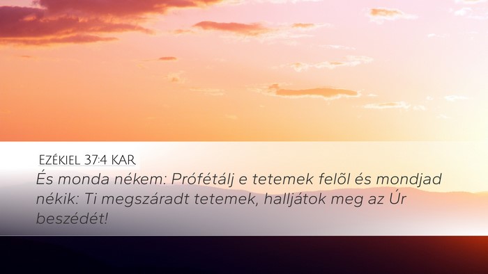 Ezékiel 37:4 KAR Bible Verse Image