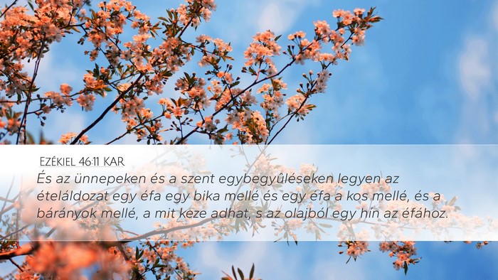 Ezékiel 46:11 KAR Bible Verse Image