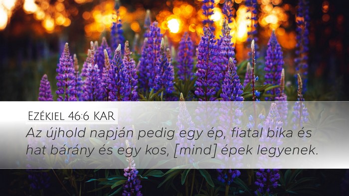 Ezékiel 46:6 KAR Bible Verse Image