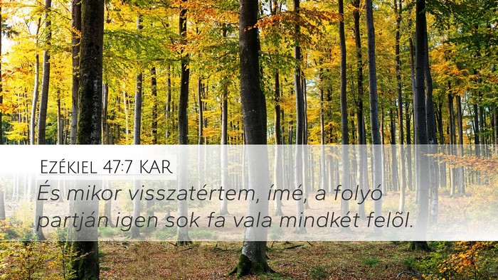 Ezékiel 47:7 KAR Bible Verse Image