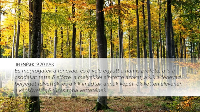 Jelenések 19:20 KAR Bible Verse Image