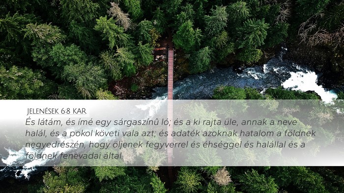 Jelenések 6:8 KAR Bible Verse Image