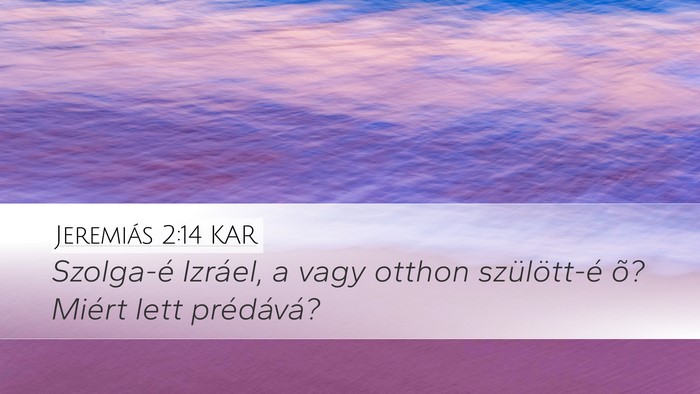 Jeremiás 2:14 KAR Desktop Wallpaper - Szolga-é Izráel, a vagy otthon szülött-é õ? - Desktop Bible Verse Wallpaper
