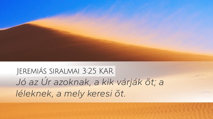 Jeremiás siralmai 3:25 KAR Bible Verse Image
