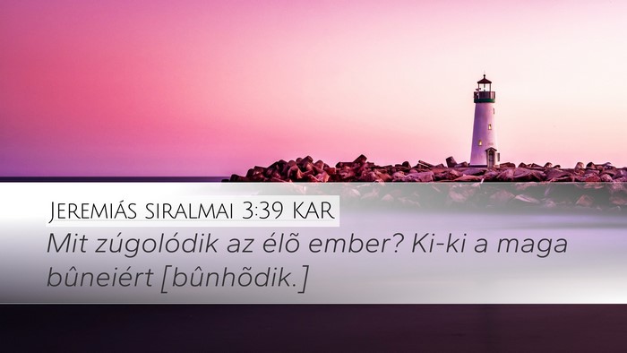 Jeremiás siralmai 3:39 KAR Bible Verse Image