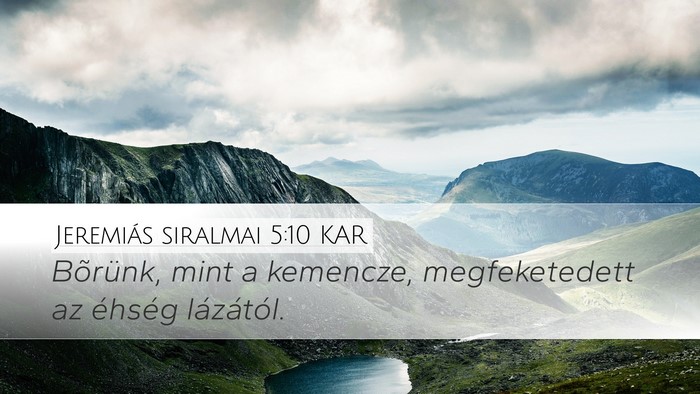 Jeremiás siralmai 5:10 KAR Bible Verse Image