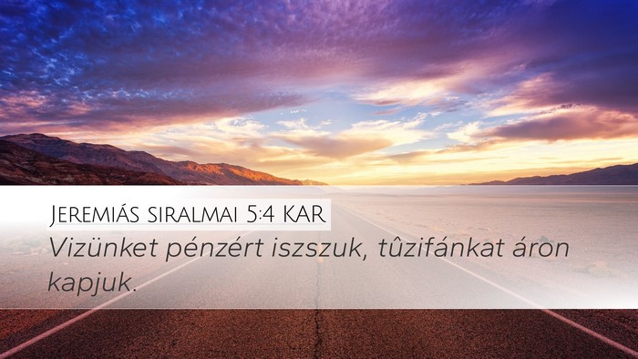 Jeremiás siralmai 5:4 KAR Desktop Wallpaper - Vizünket pénzért iszszuk, tûzifánkat áron - Desktop Bible Verse Wallpaper