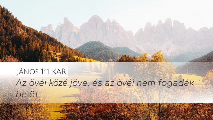 János 1:11 KAR Bible Verse Image