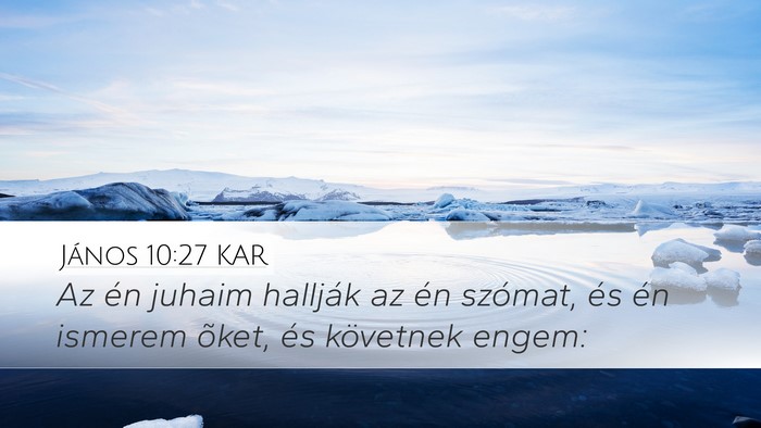 János 10:27 KAR Bible Verse Image