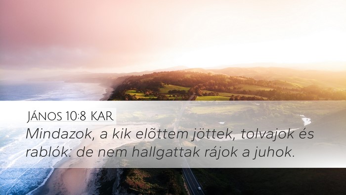 János 10:8 KAR Bible Verse Image