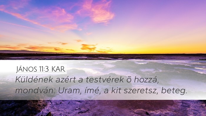 János 11:3 KAR Bible Verse Image