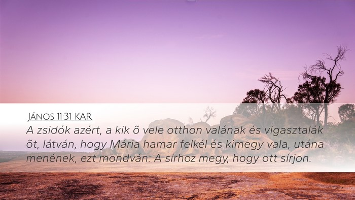 János 11:31 KAR Bible Verse Image