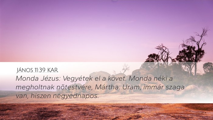 János 11:39 KAR Bible Verse Image