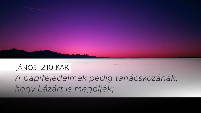 János 12:10 KAR Bible Verse Image
