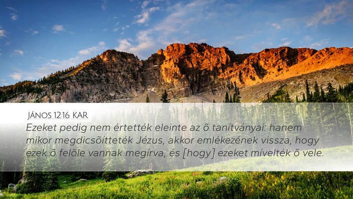 János 12:16 KAR Bible Verse Image
