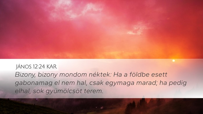 János 12:24 KAR Bible Verse Image