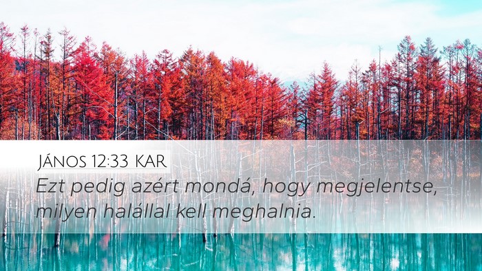 János 12:33 KAR Bible Verse Image
