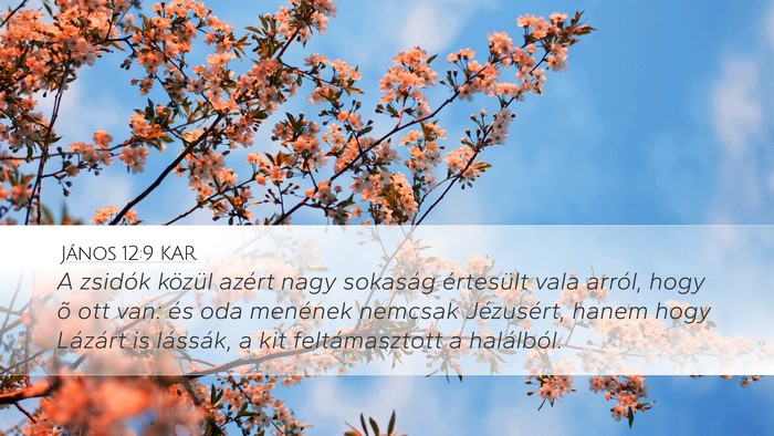 János 12:9 KAR Bible Verse Image