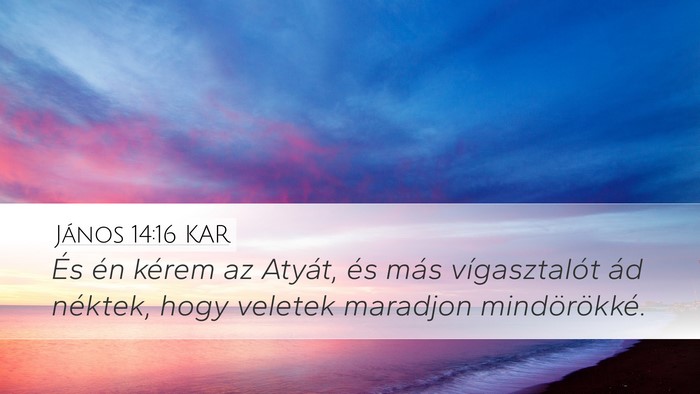 János 14:16 KAR Bible Verse Image