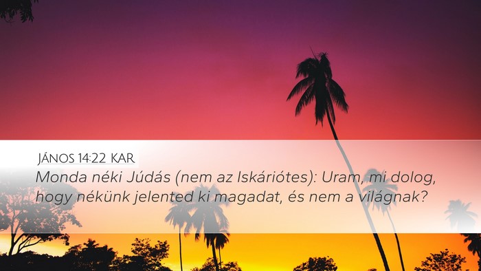 János 14:22 KAR Bible Verse Image
