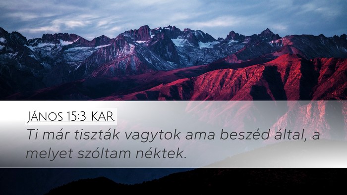 János 15:3 KAR Bible Verse Image