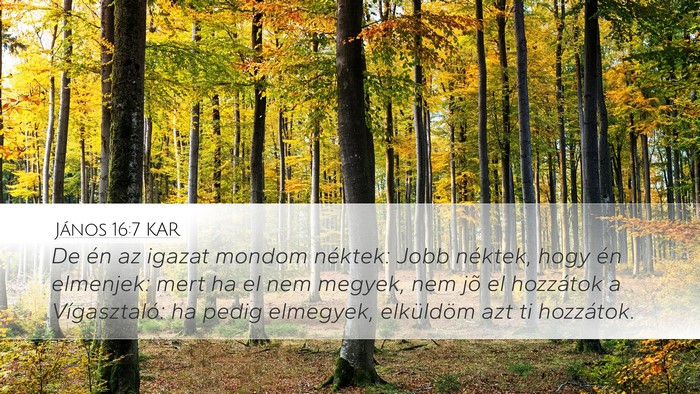 János 16:7 KAR Bible Verse Image