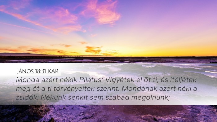 János 18:31 KAR Bible Verse Image