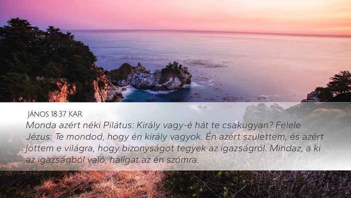 János 18:37 KAR Bible Verse Image