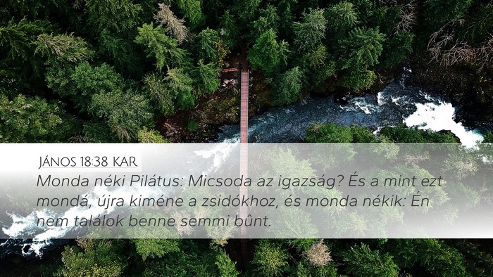 János 18:38 KAR Bible Verse Image