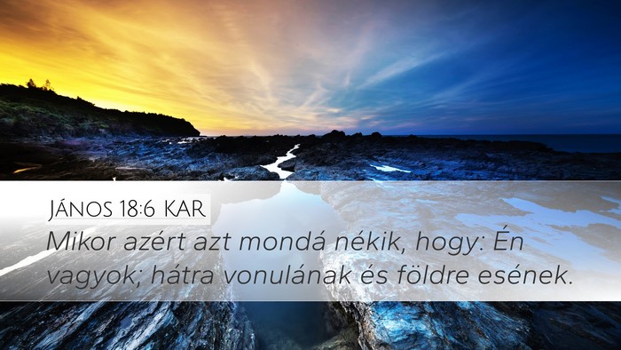 János 18:6 KAR Bible Verse Image