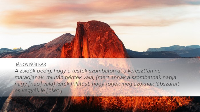 János 19:31 KAR Bible Verse Image
