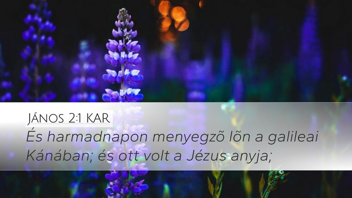 János 2:1 KAR Bible Verse Image