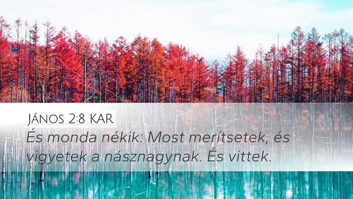 János 2:8 KAR Desktop Wallpaper - És monda nékik: Most merítsetek, és vigyetek - Desktop Bible Verse Wallpaper