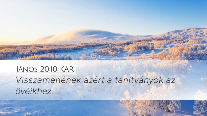 János 20:10 KAR Desktop Wallpaper - Visszamenének azért a tanítványok az - Desktop Bible Verse Wallpaper
