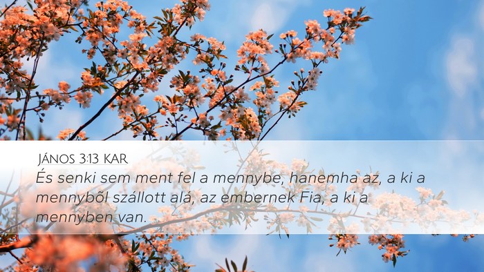 János 3:13 KAR Bible Verse Image