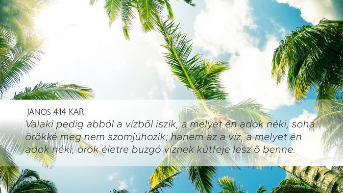 János 4:14 KAR Bible Verse Image