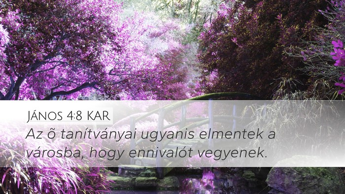 János 4:8 KAR Bible Verse Image
