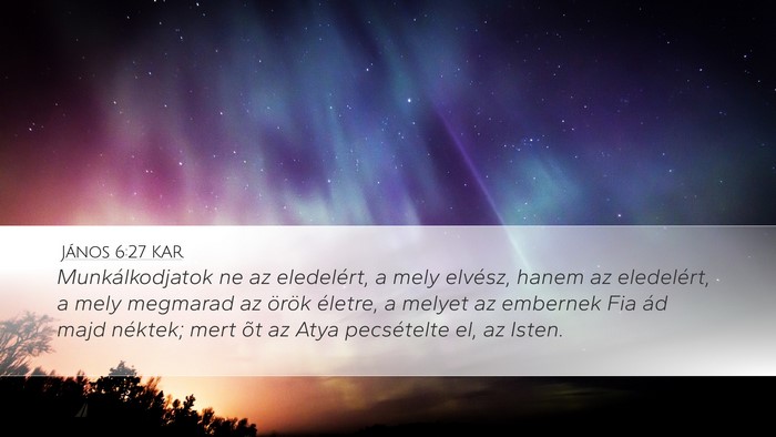 János 6:27 KAR Bible Verse Image