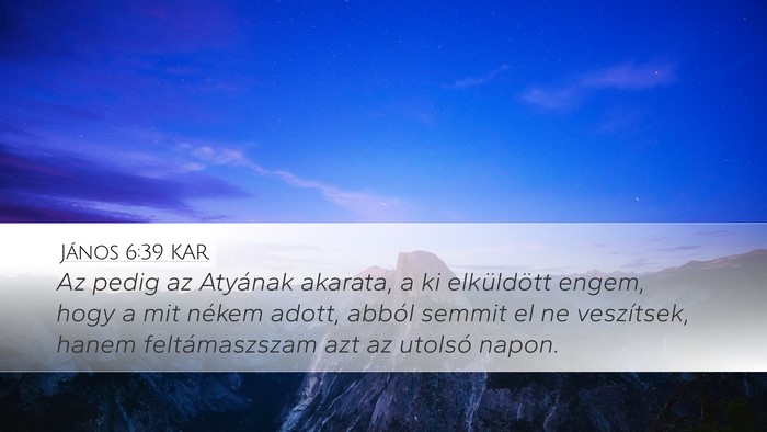 János 6:39 KAR Bible Verse Image