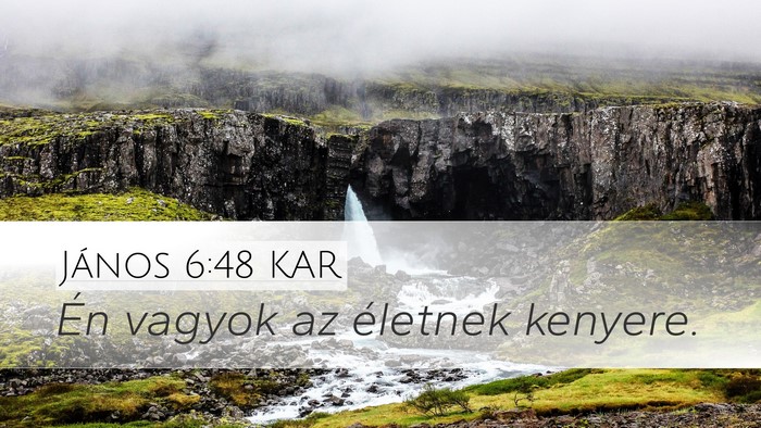 János 6:48 KAR Bible Verse Image