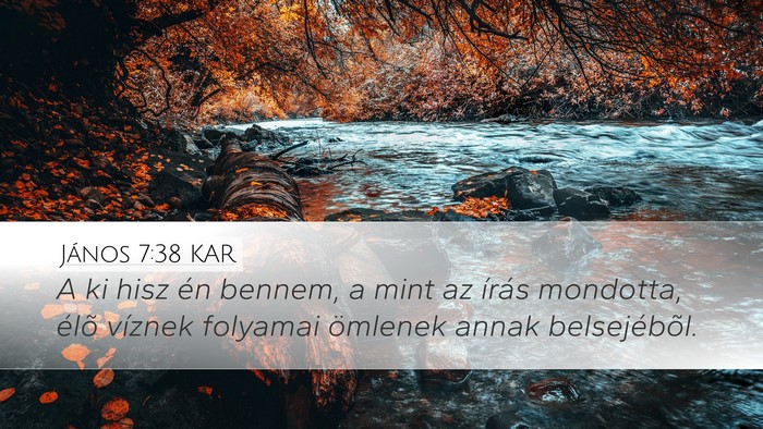 János 7:38 KAR Bible Verse Image